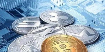 加密货币支付龙头,技术革新与市场拓展概览