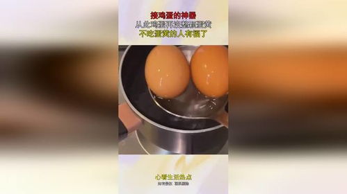 鸡蛋小鸡工厂 