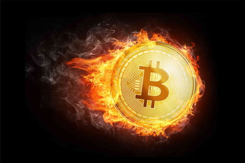 加密货币通俗解释,数字货币的神秘世界