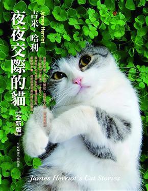 猫咪杂货店手游最新版 
