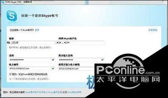 skype网络电话账户申请,Skype网络电话账户申请指南