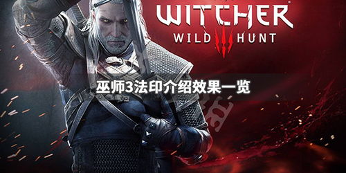 巫师3手游中文版下载 
