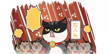 ds加密货币,未来金融革命的先锋力量