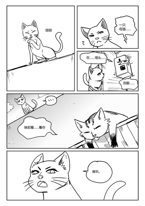 次元喵漫画下载 