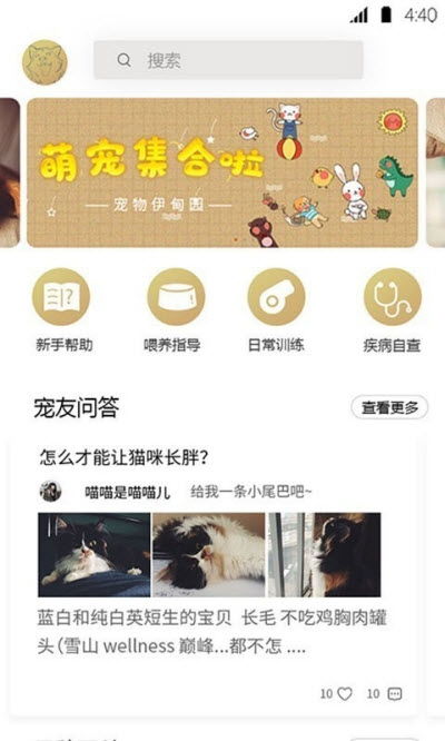 伊甸园的骄傲手游下载 