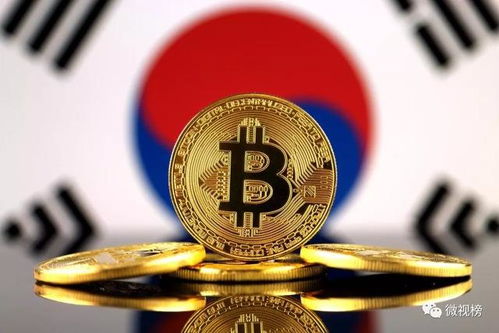 bfs加密货币,探索其创新技术与应用前景