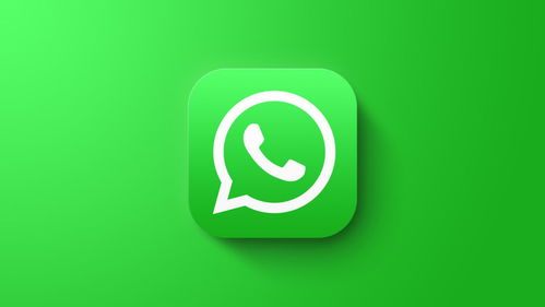 2019上WhatsApp的方法,社交新纪元的开启
