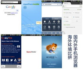 宠物王国外传 