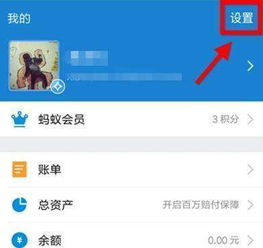 小桃的纠结安卓游戏 