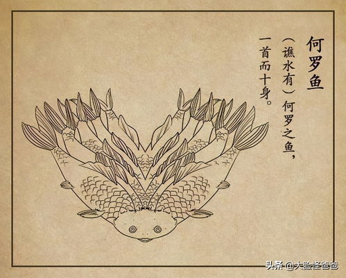 我在山海经挂机官网版 我在山海经挂机官网版