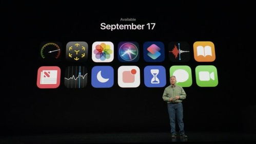 ios12不能用skype吗,iOS 12无法使用Skype?揭秘兼容性问题
