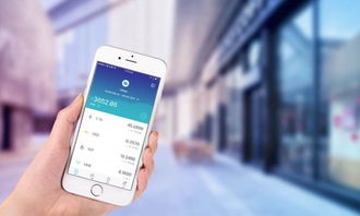 imtoken可以放狗比吗,放狗比引领潮流