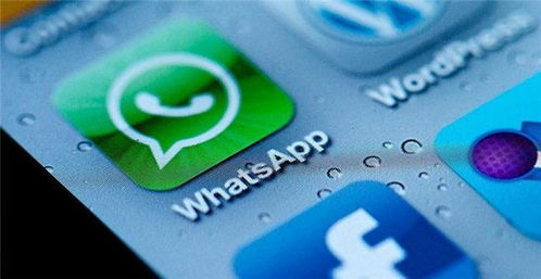 facebook购买whatsapp,重塑即时通讯新格局