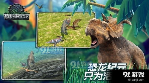 神龙进化游乐园 